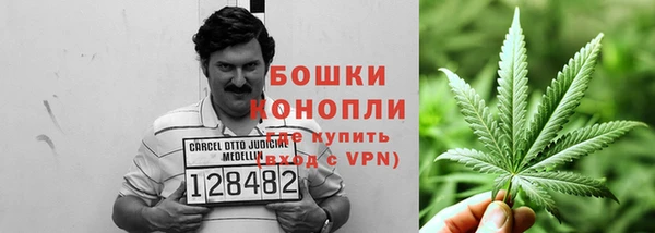 амф Дмитров