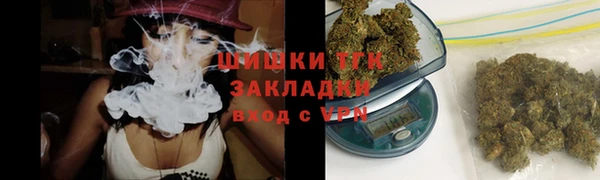 амф Дмитров