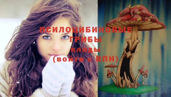 прущие крисы Горняк