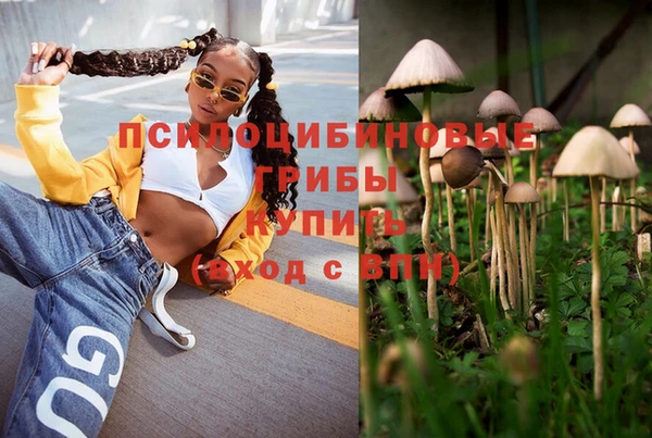 мдпв Волосово