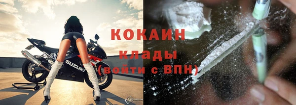амф Дмитров
