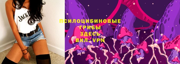 амф Дмитров